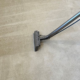 Carpet Cleaning